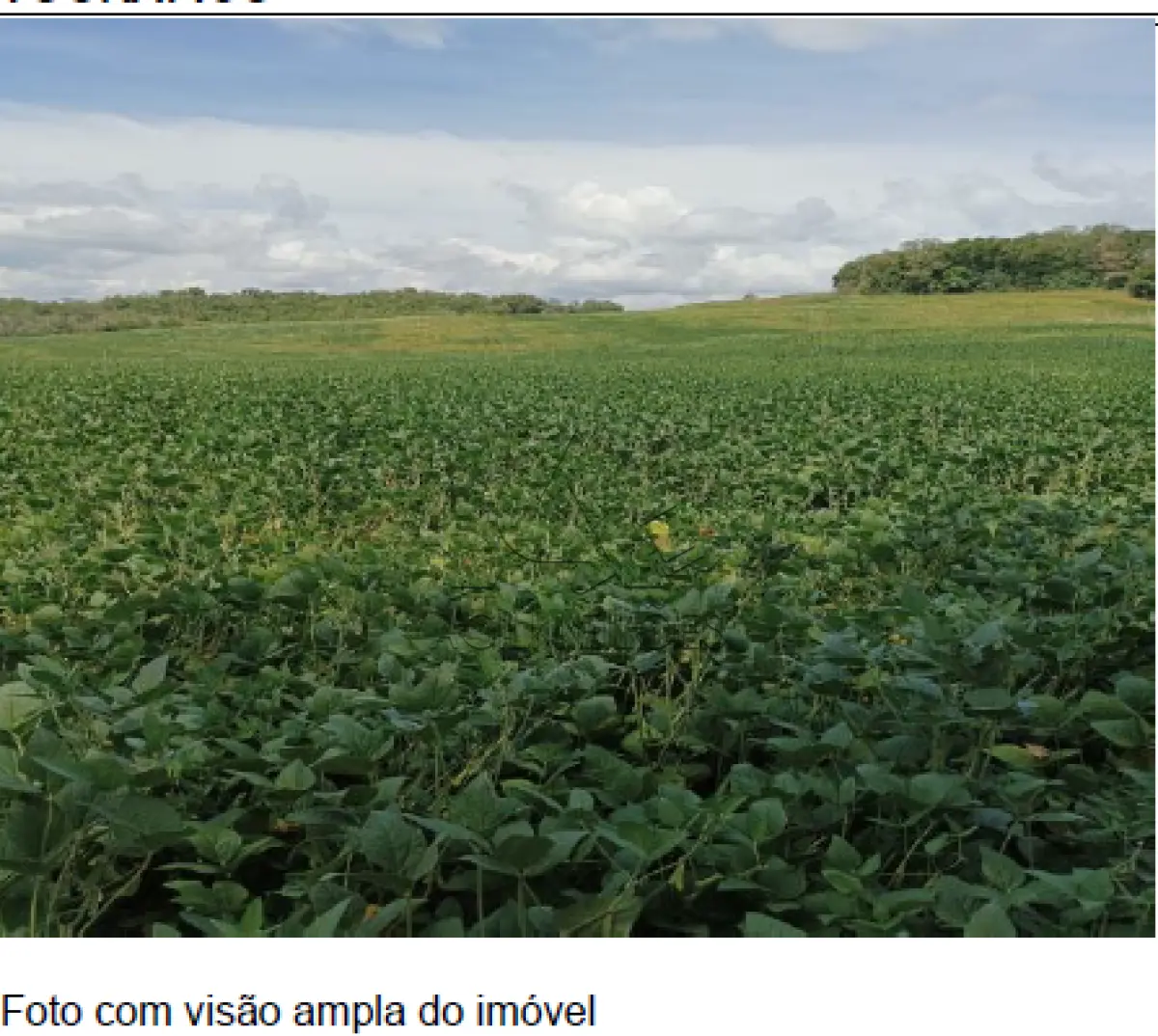 LOTE 0A1 - IMÓVEL - Lote rural