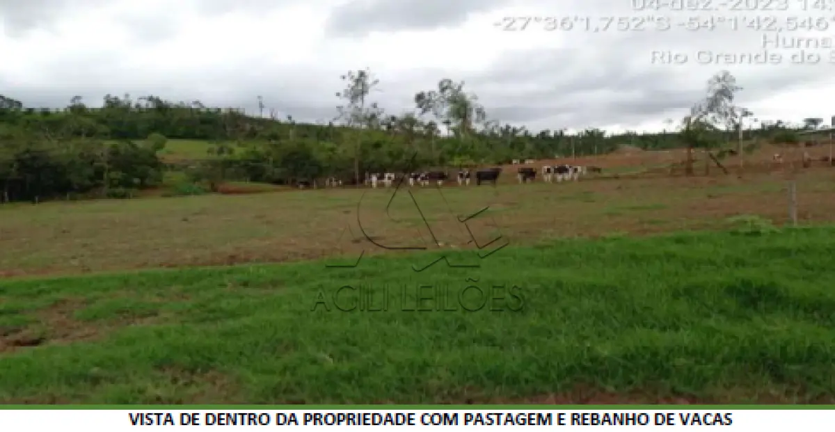 LOTE 0A1 - Lote Rural nº 86 da 10ª Secção Buricá