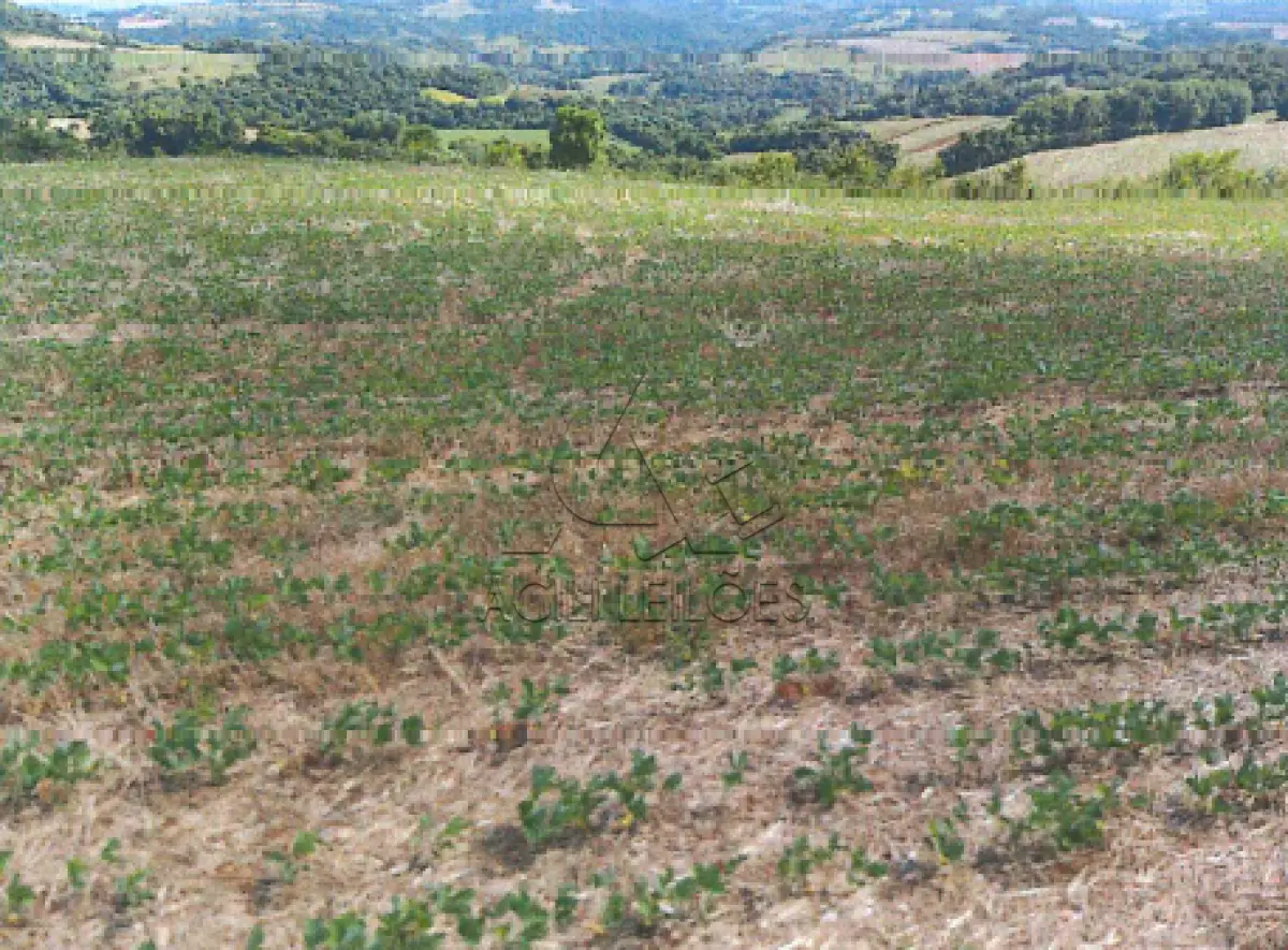 LOTE 003 - LOTE RURAL Nº 164-A