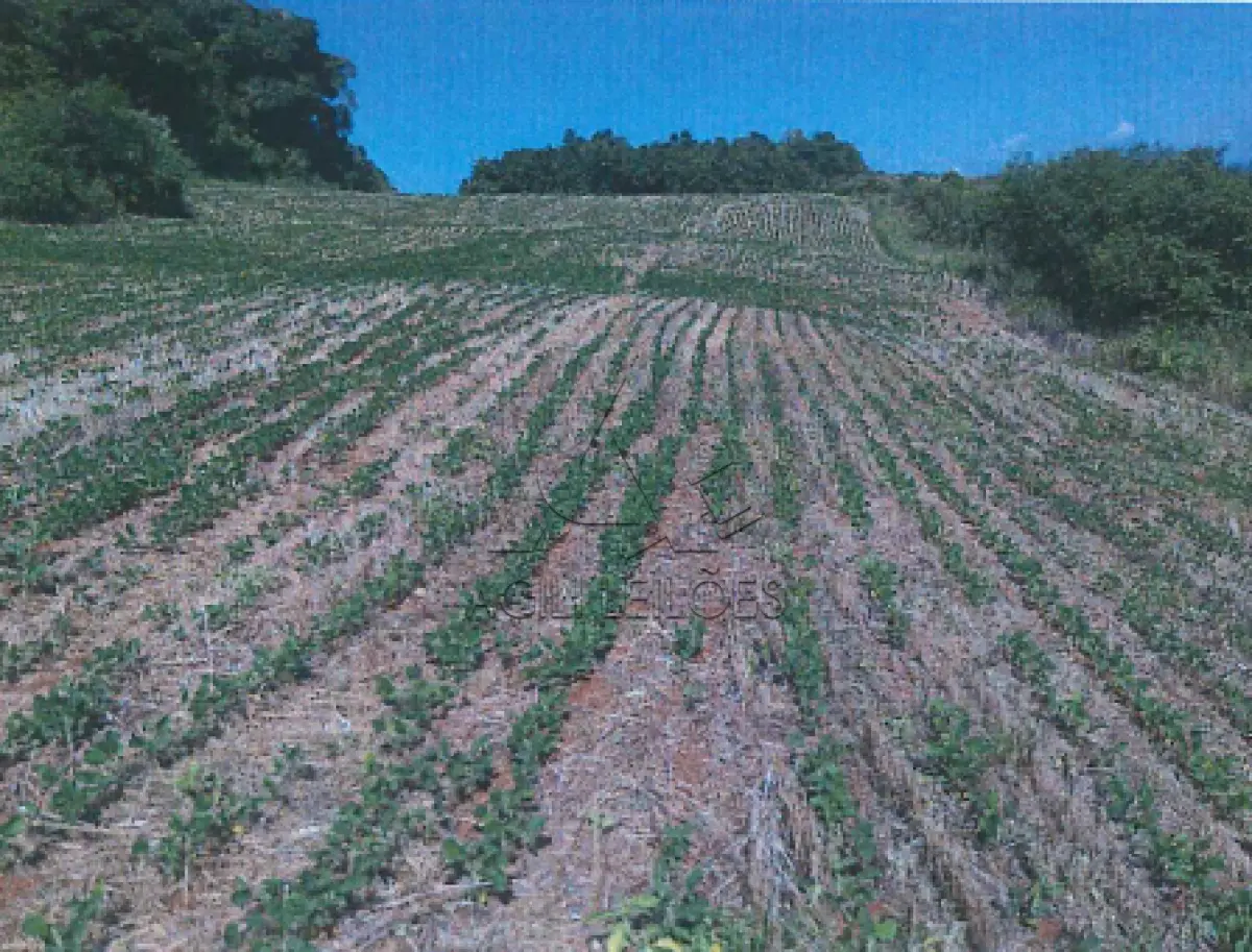 LOTE 003 - LOTE RURAL Nº 164-A