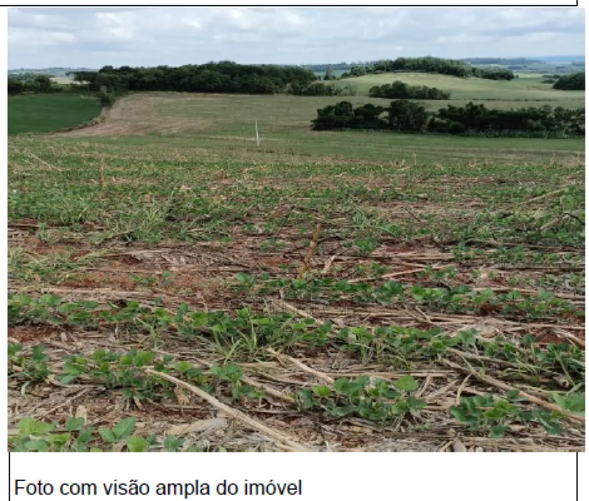 LOTE 0A2 - IMÓVEL: Uma fração de terras de cultura