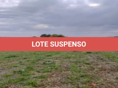 LOTE 001 - Imóvel MATRÍCULA Nº 3107 RI de Três de Maio / RS Uma fração de terras pertencente ao Lote Rural nº 18, com a área de 10.000,00 m² , sem benfeitorias, situada na Colônia Glória, neste Município, confrontando: ao Norte, por terras de Pedro Rodolpho Pipper, José Casemiro Pipper e de Agostinho Alfredo Pipper; ao Sul, com o Rio Santa Rosa; a Leste, com terras de Laurindo Piccoli; e, a Oeste, com terras de Victório e Adelino Berratti. Cadastrada no INCRA sob nº 867.101.011.142-1, área total 12,5; m. rural 31,4; nº mod. fiscal 0,55; m. fiscal 20.