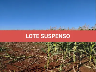 LOTE 001 - Imóvel Matrícula 4.648 Fração dos Lotes Rurais nºs 153 e 154, da 1ª Seção Santa Rosa, com a área de 23.571,43 m², localizada no lugar denominado Pinheiro Machado, neste município, confrontando: Norte: com o Lajeado Pinheiro Machado. Sul: com terras de Mario Herpich. Leste: com o lote nº 154 de Hilário Gellati. Oeste: com terras de Dirceu Tartari. Cadastrada no INCRA sob nº 867 101 012 505-8. Área total: 15,5000. Módulo rural: 59,5238. Número de módulos rurais: 0,21. Módulo fiscal: 20,0000. Número de módulos fiscais: 0,7700. FMP: 3,0000