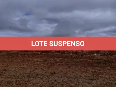 LOTE 002 - MATRÍCULA 302 RI de Três de Maio/RS: Uma Fração de terras de campo e matos, sem benfeitorias, com área de 48.152,84 m²  do lote rural p°,30, situado no lugar denominado Rincao dos Cabral confrontando: ao NORTE, com o Lajeado Silva ao Sul com Inaçio Correa de Almeida; a LESTE, com o Lajeado Silva e Inacio Correa de Almeida; e a OESTE, com Antônio Bertholdo, INCRA: o imóvel acima descrito esta cadastrado no Incra sob número 867 101 000 329 Area total: 24,2 Modulo: 31,7 n módulos: 0,70 fmp: 24,2.