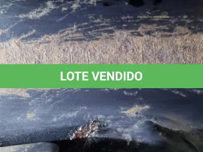 LOTE 36409 - 36409