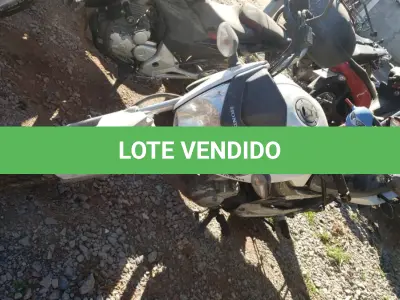 LOTE 36448 - 36448