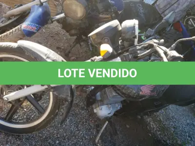 LOTE 36450 - 36450