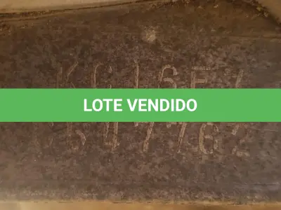 LOTE 36433 - 36433