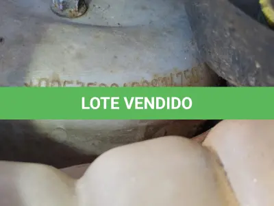 LOTE 36319 - 36319