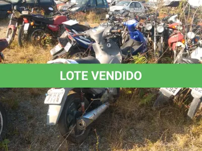 LOTE 36391 - 36391