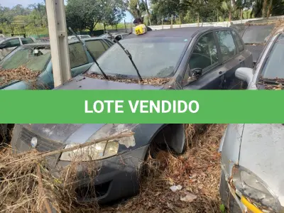 LOTE 36503 - 36503