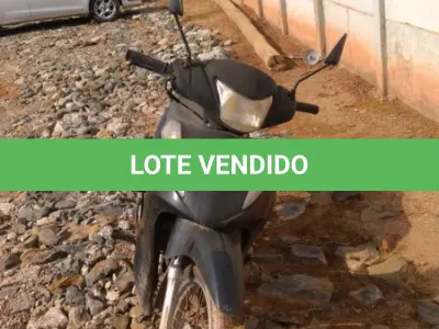 LOTE 36386 - 36386
