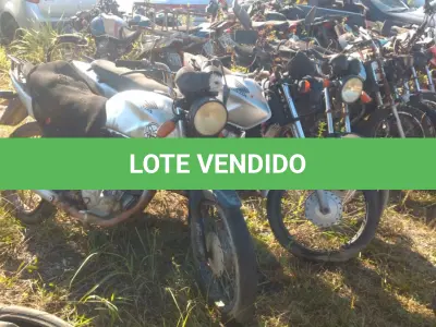 LOTE 36548 - 36548