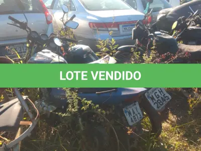 LOTE 36550 - 36550