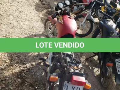 LOTE 36556 - 36556