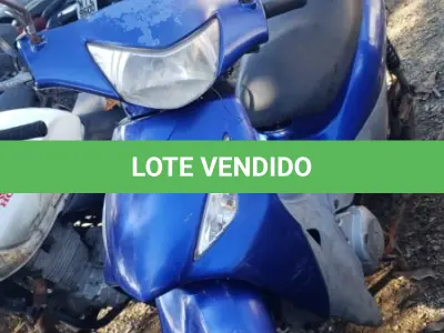 LOTE 36562 - 36562
