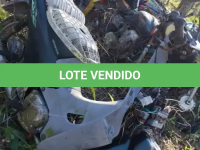 LOTE 36543 - 36543