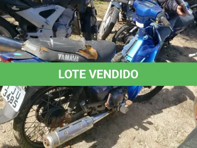 LOTE 36555 - 36555