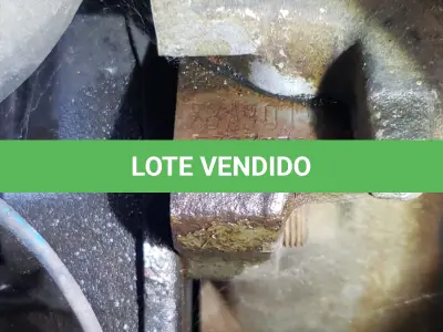 LOTE 36462 - 36462