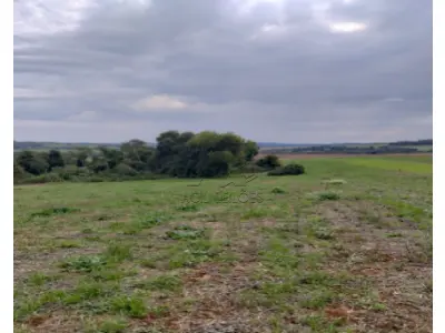 LOTE 001 - Imóvel MATRÍCULA Nº 3107 RI de Três de Maio / RS Uma fração de terras pertencente ao Lote Rural nº 18, com a área de 125.000,00 m² (cento e vinte e cinco mil metros quadrados), sem benfeitorias, situada na Colônia Glória, neste Município, confrontando: ao Norte, por terras de Pedro Rodolpho Pipper, José Casemiro Pipper e de Agostinho Alfredo Pipper; ao Sul, com o Rio Santa Rosa; a Leste, com terras de Laurindo Piccoli; e, a Oeste, com terras de Victório e Adelino Berratti. Cadastrada no INCRA sob nº 867.101.011.142-1, área total 12,5; m. rural 31,4; nº mod. fiscal 0,55; m. fiscal 20.