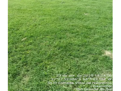 LOTE 001 - Matrícula nº 3.793 IMÓVEL: Uma fração de terras, sem benfeitorias, com a área de cento e vinte e um mil metros quadrados (121.000 m²), pertencente ao lote rural nº 270, da 6ª Seção Buricá, sito no distrito desta cidade, confrontando: Norte: com terras do mesmo lote nº 370; Sul: por caminho com os lotes nºs 188, 187 e parte do lote nº 248; Leste: pela Sanga Arthur com parte do lote nº 271 e por linha seca com os lotes nºs 186 e 187; Oeste: por um caminho com o lote nº 248, com parte do lote nº 49 e terras do mesmo lote nº 270.