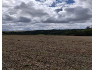 LOTE 002 - MATRÍCULA 302 RI de Três de Maio/RS: Uma Fração de terras de campo e matos, sem benfeitorias, com área de 242.000m2, (duzentos e quarenta e dois mil metros quadrados do lote rural p°,30, situado no lugar denominado Rincao dos Cabral confrontando: ao NORTE, com o Lajeado Silva ao Sul com Inaçio Correa de Almeida; a LESTE, com o Lajeado Silva e Inacio Correa de Almeida; e a OESTE, com Antônio Bertholdo, INCRA: o imóvel acima descrito esta cadastrado no Incra sob número 867 101 000 329 Area total: 24,2 Modulo: 31,7 n módulos: 0,70 fmp: 24,2.
