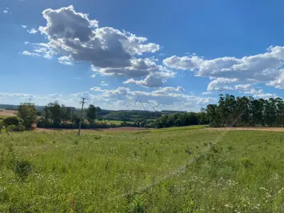 LOTE 007 - Terras 17.500m² – Lote 20, Matrículas 5577 e 7144, Linha Ceroula, solo vermelho argiloso, coxilha. Avaliação R$ 325.000,00.