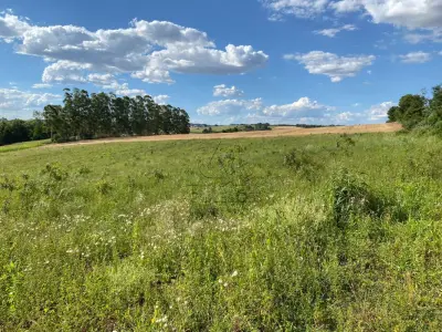 LOTE 007 - Terras 17.500m² – Lote 20, Matrículas 5577 e 7144, Linha Ceroula, solo vermelho argiloso, coxilha. Avaliação R$ 325.000,00.