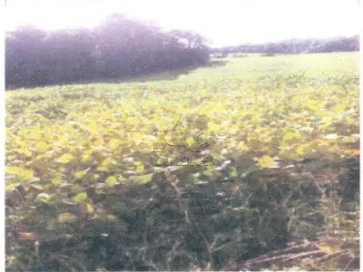 LOTE 001 - Matrícula nº 1.889 IMÓVEL: Trata-se do Lote Rural nº 103-A, localizado na Segunda Secção São Francisco, com área total de 44.000 m² (quarenta e quatro mil metros quadrados), situado no Distrito Administrativo de Lajeado Bonito, pertencente a este Município. Ao Norte, limita-se com uma estrada, confrontando com os lotes nºs 107, 104-A, 104 e 102, de propriedade de Benno Hochscheidt, Flavia Höveler, Wendelino Füsiger e João Albano Becker. Ao Sul, confronta-se com o Lajeado Bonito, limitando-se com o lote nº 160, de propriedade de José Borstel. À Leste, limita-se por linha seca com o lote nº 103, pertencente a Romualdo Romeo Foltz. À Oeste, também por linha seca, confronta com o lote nº 103-B, de propriedade de Afonso Werner