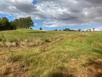 LOTE 007 - Terras 17.500m² – Lote 20, Matrículas 5577 e 7144, Linha Ceroula, solo vermelho argiloso, coxilha. Avaliação R$ 325.000,00.