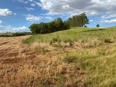 LOTE 007 - Terras 17.500m² – Lote 20, Matrículas 5577 e 7144, Linha Ceroula, solo vermelho argiloso, coxilha. Avaliação R$ 325.000,00.