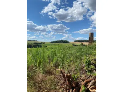 LOTE 006 - Terras 5.000m² – Lote 08, Linha Porto Alegre Norte, Matrícula 1382, solo vermelho argiloso, plano, agricultável. Avaliação R$ 40.000,00.