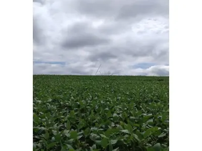 LOTE 001 - Matrícula Nº 109 conforme R-10/109 – 40.000 M² – Registro de Imóveis de Independência/RS: LOTE 01: Uma fração de terras de campo e matos, com área de 40.000 m² (quarenta mil metros quadrados), sem benfeitorias, dentro de uma área maior, situada no lugar denominado Campos de Santa Rosa, atualmente Colônia Medeiros, neste município. O imóvel está em condomínio, permanecendo nesta condição, confrontando-se: Norte: com um lajeado e terras de João Ferretti; Sul: com terras de João Berti; Leste: com terras de Pedro Copetti Sobrinho; Oeste: com terras de Almerindo Pacheco. O imóvel acima descrito acha-se cadastrado no INCRA sob nº 867.101.000.213.