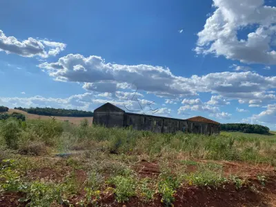 LOTE 006 - Terras 5.000m² – Lote 08, Linha Porto Alegre Norte, Matrícula 1382, solo vermelho argiloso, plano, agricultável. Avaliação R$ 40.000,00.