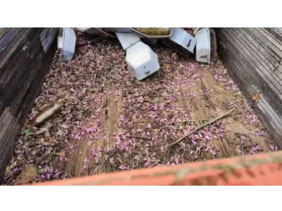 LOTE 005 - Carreta agrícola de madeira