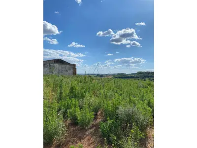 LOTE 006 - Terras 5.000m² – Lote 08, Linha Porto Alegre Norte, Matrícula 1382, solo vermelho argiloso, plano, agricultável. Avaliação R$ 40.000,00.