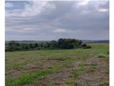 LOTE 001 - Imóvel MATRÍCULA Nº 3107 RI de Três de Maio / RS Uma fração de terras pertencente ao Lote Rural nº 18, com a área de 125.000,00 m² (cento e vinte e cinco mil metros quadrados), sem benfeitorias, situada na Colônia Glória, neste Município, confrontando: ao Norte, por terras de Pedro Rodolpho Pipper, José Casemiro Pipper e de Agostinho Alfredo Pipper; ao Sul, com o Rio Santa Rosa; a Leste, com terras de Laurindo Piccoli; e, a Oeste, com terras de Victório e Adelino Berratti. Cadastrada no INCRA sob nº 867.101.011.142-1, área total 12,5; m. rural 31,4; nº mod. fiscal 0,55; m. fiscal 20.