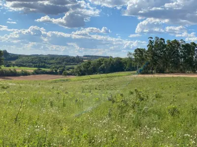 LOTE 007 - Terras 17.500m² – Lote 20, Matrículas 5577 e 7144, Linha Ceroula, solo vermelho argiloso, coxilha. Avaliação R$ 325.000,00.