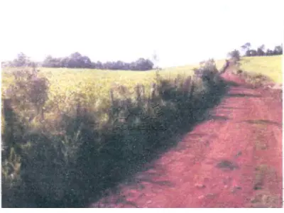 LOTE 002 - Matrícula nº 15.803 IMÓVEL: Lote rural número 104, da segunda secção São Francisco, com área de 34.817 m², situado em Planalto, Município de Tiradentes do Sul, confrontando ao Norte, por linha seca, com o lote nº 5; ao Sul, por uma estrada, com o lote nº 103; à Leste, por linhas secas, com os lotes nºs 105 e 102; e à Oeste, por linha seca, com o lote nº 104-A. O imóvel possui como benfeitoria uma casa de madeira coberta com telhas de barro, medindo 7,00 metros de frente por 6,00 metros de fundos. INCRA 867195017736-6, área total 11,4 ha, parcelamento 3,0 ha, NIRF 1.225269-7.