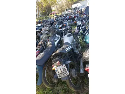 LOTE 36541 - 36541