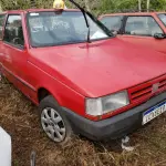 LOTE 36342