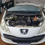 LOTE 36326