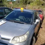 LOTE 36334