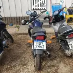 LOTE 36441