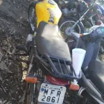LOTE 36434