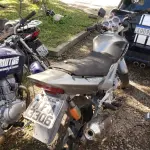 LOTE 36425