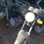 LOTE 36450