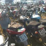 LOTE 36398