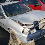 LOTE 36307