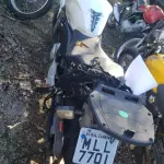LOTE 36436